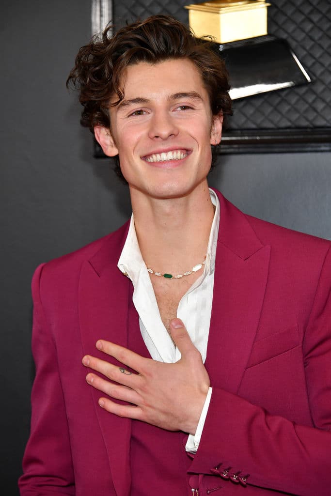 "En la fiesta de los VMA, pensé: 'Lo estoy haciendo'. Y él (Shawn Mendes) dijo: 'Está bien, lo estás haciendo. 
<b>Tomemos un respiro y no hagamos eso</b>'. Es realmente bueno para mí poder hablar sobre mis patrones con alguien", confesó a la revista.
<br>