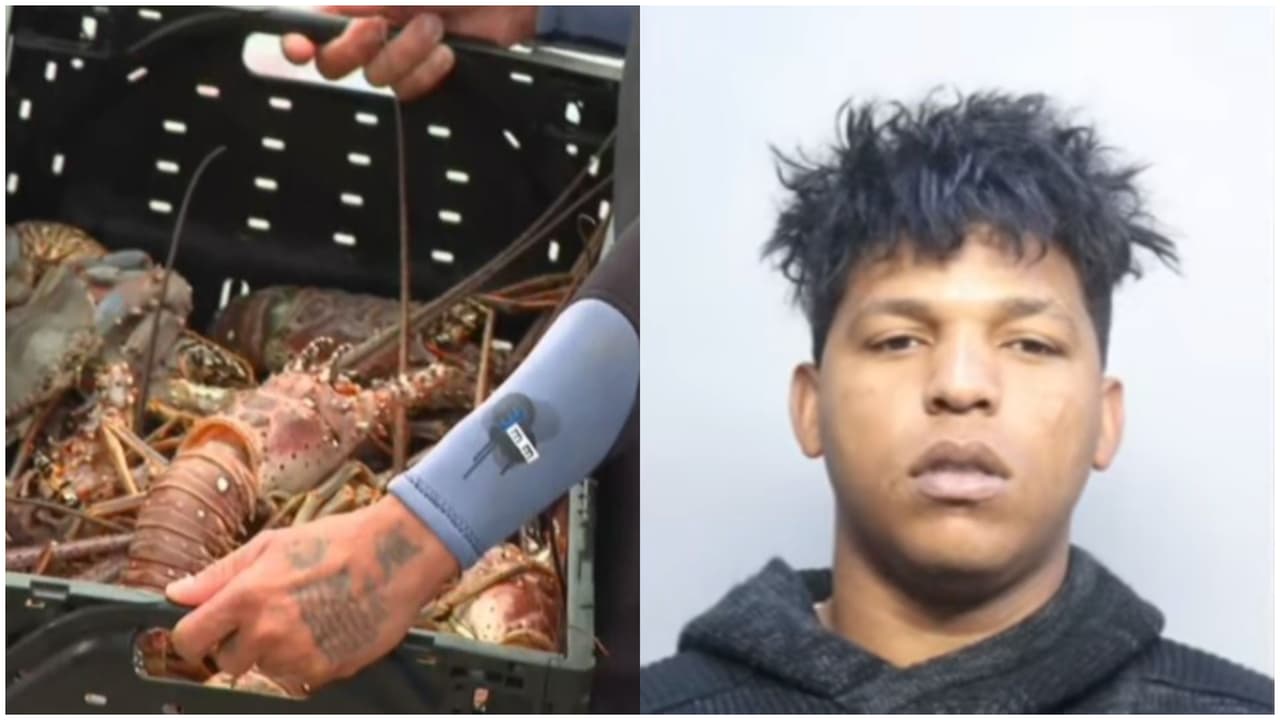 Atrapado con las manos en la langosta
