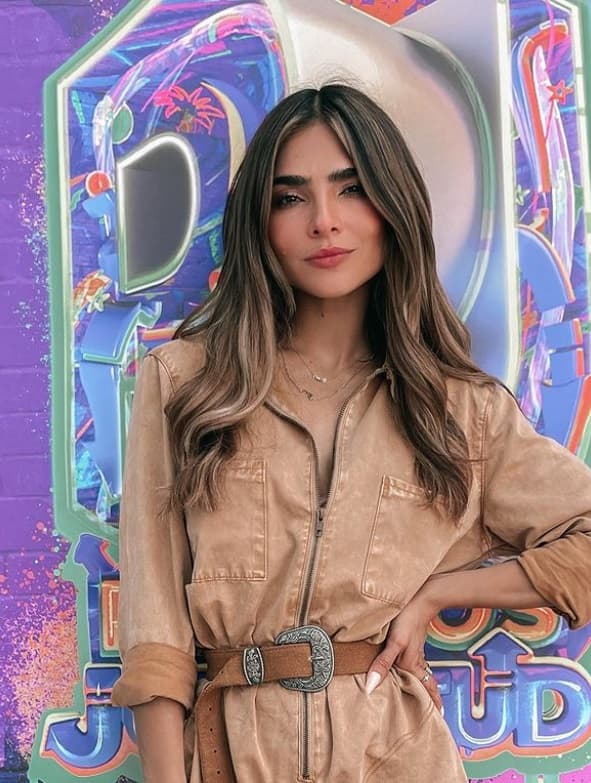 Hasta el momento la actriz no ha dado ninguna declaración al respecto en redes. Sin embargo, cuando fue concursante de Nuestra Belleza Latina confesó que desde que tiene memoria quería actuar y ha tenido algunos papeles en cintas como 'Dos Caminos' y 'Perfecto Anfitrión'.