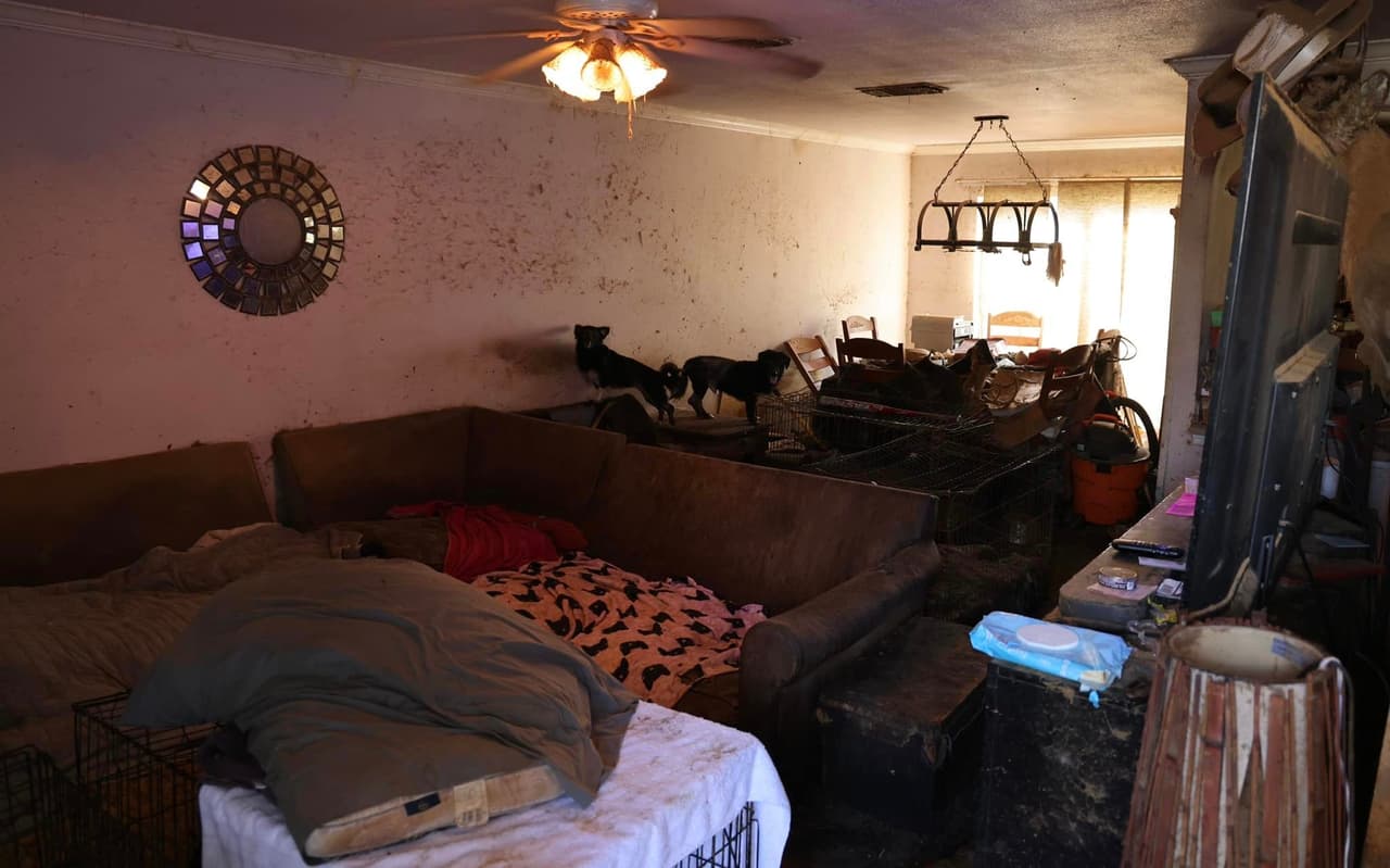 Oficiales de la Oficina del Sheriff del Condado Bexar acudieron a la cuadra 7800 de la calle Fossil Banks, en donde hallaron a los animalitos viviendo en condiciones deplorables.