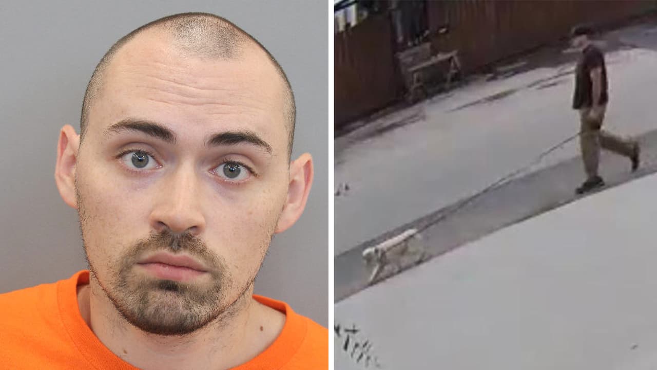 Arrestan a Daniel Schaeffer acusado de matar a balazos a un cachorro que le ladró a su perro