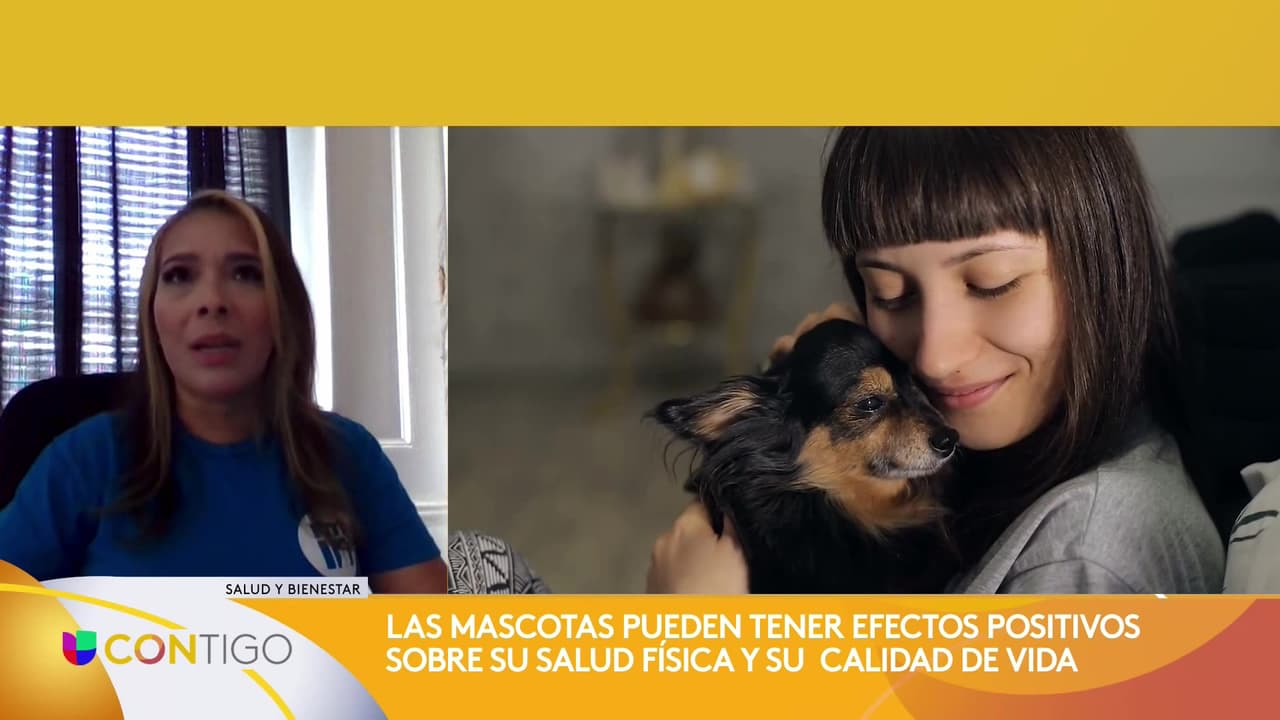 Las mascotas pueden tener efectos positivos en su salud física y calidad de vida