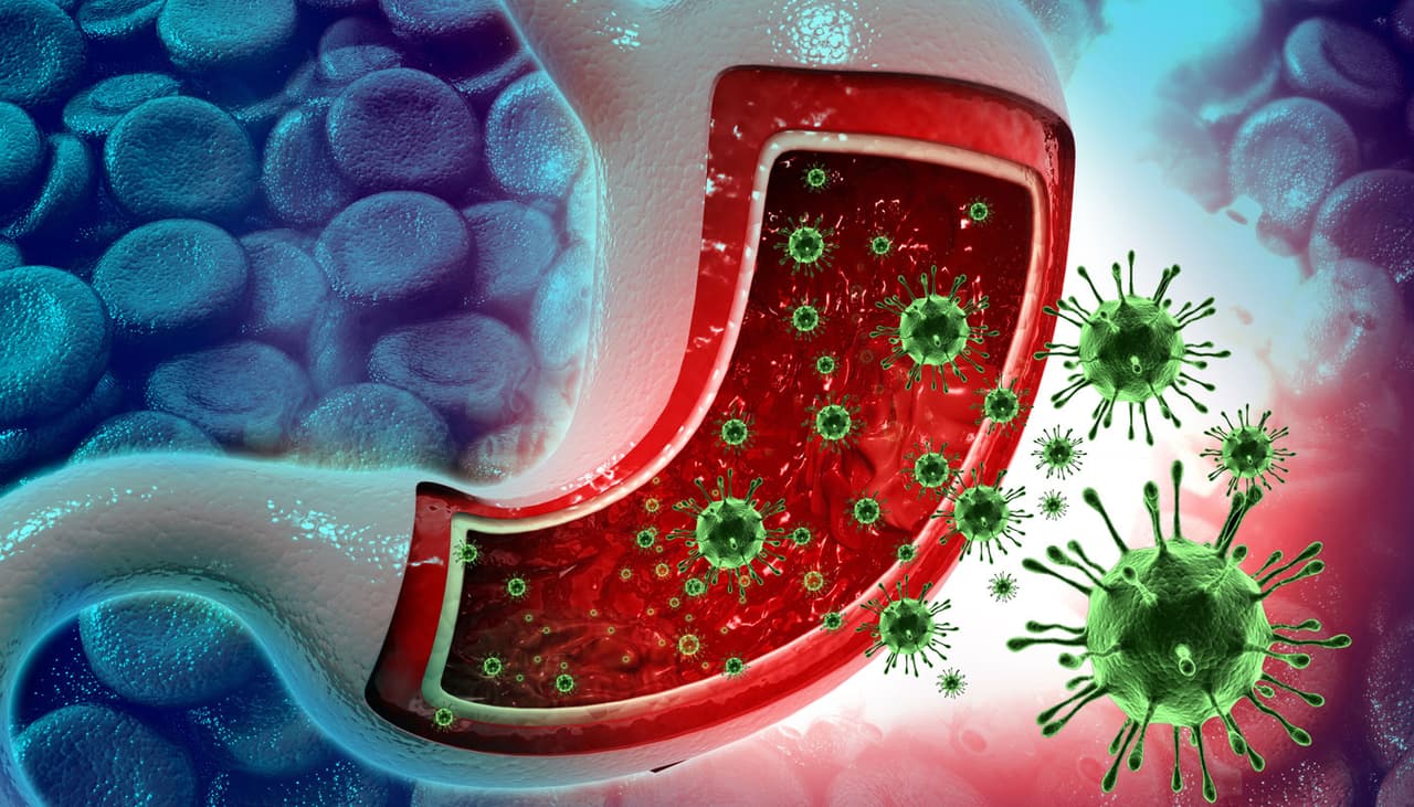 ¿Cómo se identifica una infección de norovirus? Síntomas y formas de detección