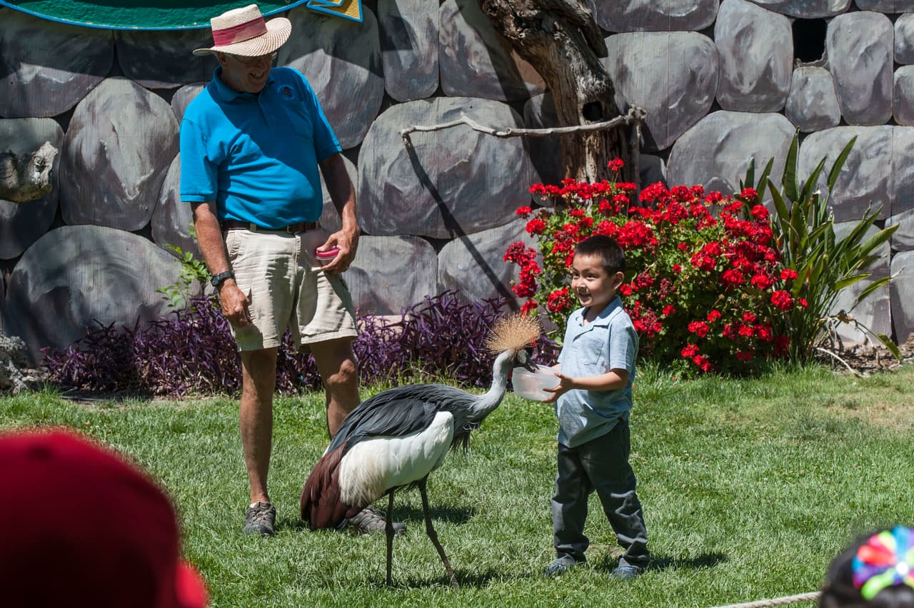 Un bello dia fue perfecto para las familias desde Bakersfield a Modesto.