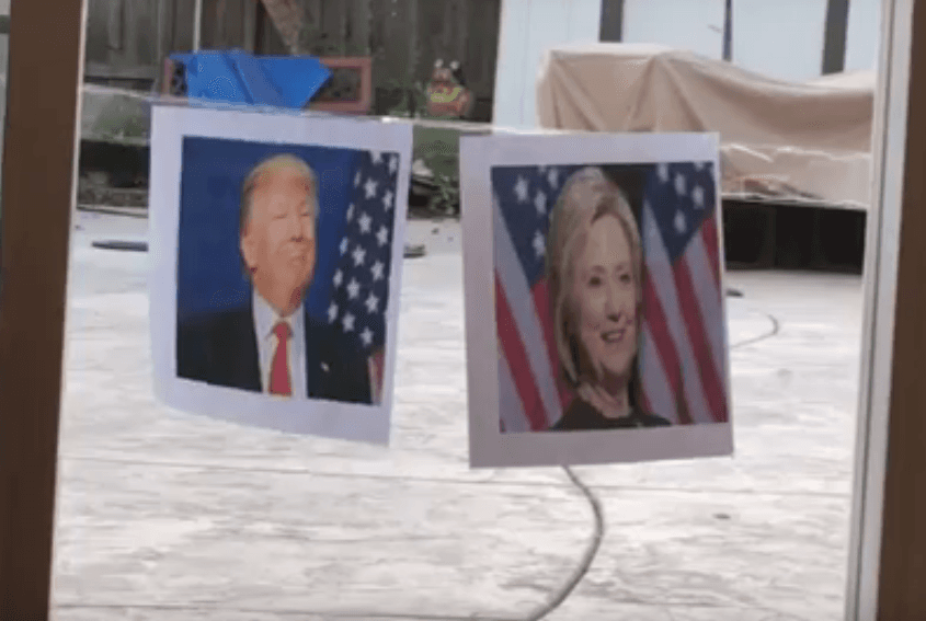 'La gallina vidente' incursiona en la política