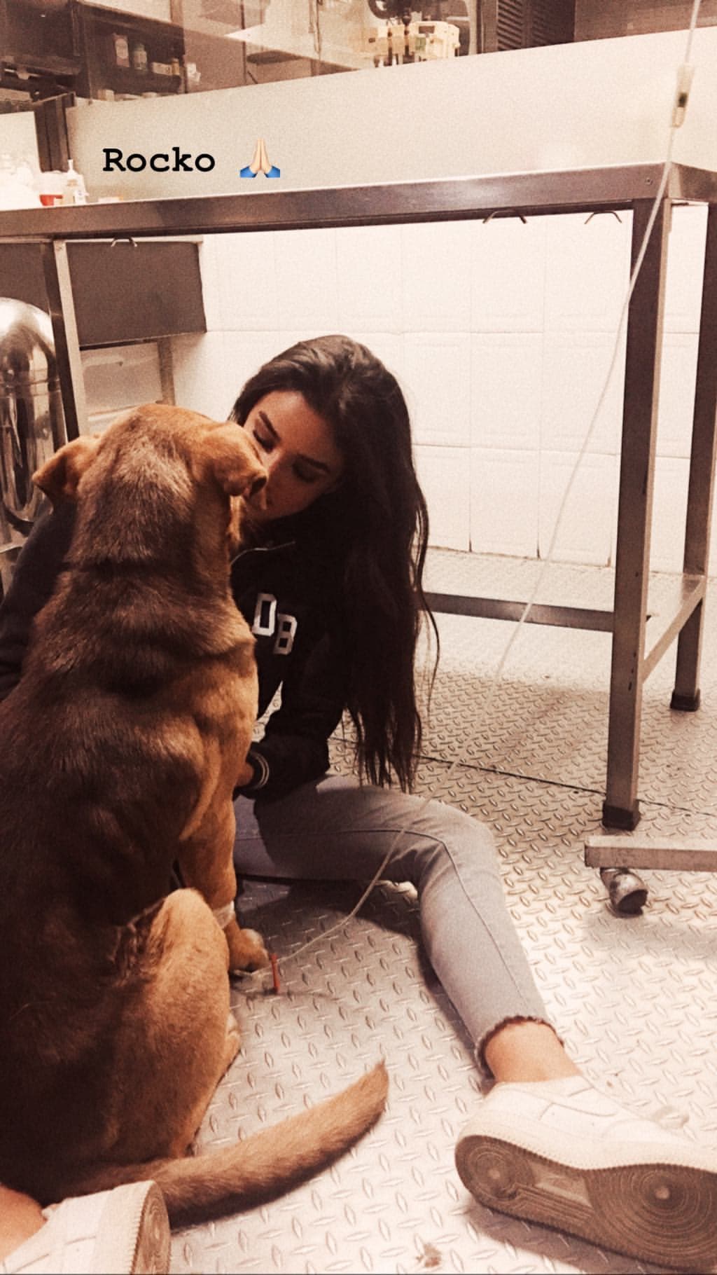 En las imágenes se alcanza a ver que Rocko tiene canalizada una de sus patitas.
<br>