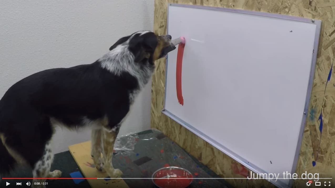 Videos de impacto - 5 de enero