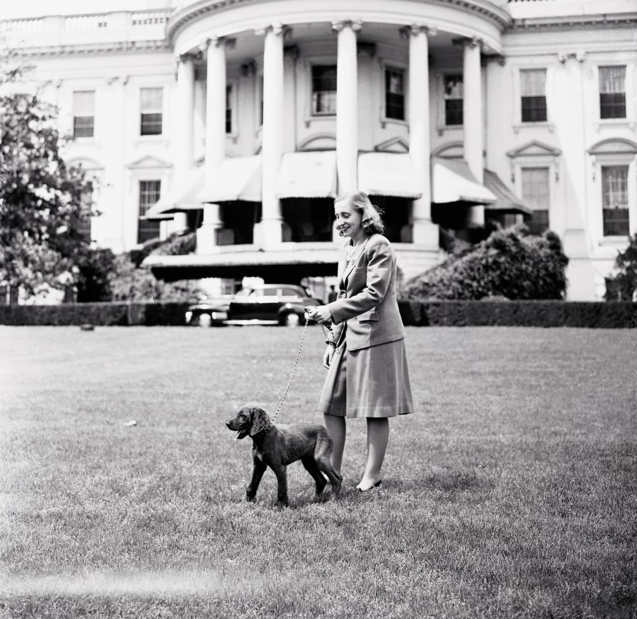 Harry Truman tuvo dos perros. Era el vicepresidente de Roosevelt y lo sucedió tras su muerte en 1945. El siguiente en ocupar el cargo, Dwight Eisenhower, tuvo un solo cachorro. En la fotografía Margaret Truman, hija del mandatario, en la Casa Blanca con un
<i>Irish Setter</i> llamado 'Mike'.