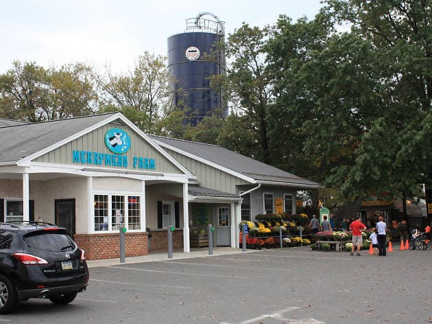 Los habitantes de la ciudad pueden reconocer la etiqueta Merrymead por la leche que esta lechería de quinta generación que vende a tiendas de comestibles independientes y cooperativas de alimentos en la región. Pero su granja en Montco también se ha convertido en un centro de alimentos locales. Su tienda en el lugar ofrece alimentos de productores cercanos, así como las propias leches embotelladas de Merrymead. Su mostrador de helados ofrece opciones como whisky, galleta de limón y chips de mantequilla de maní y plátano, además de los clásicos sabores. 📍
<a href="https://www.google.com/maps/place/2222+S+Valley+Forge+Rd,+Lansdale,+PA+19446/@40.2093989,-75.3356364,17z/data=!3m1!4b1!4m5!3m4!1s0x89c6a29ba7b9d861:0x5de8922d321deb99!8m2!3d40.2093989!4d-75.3334424" target="_blank">2222 S. Valley Forge Rd., Lansdale</a>