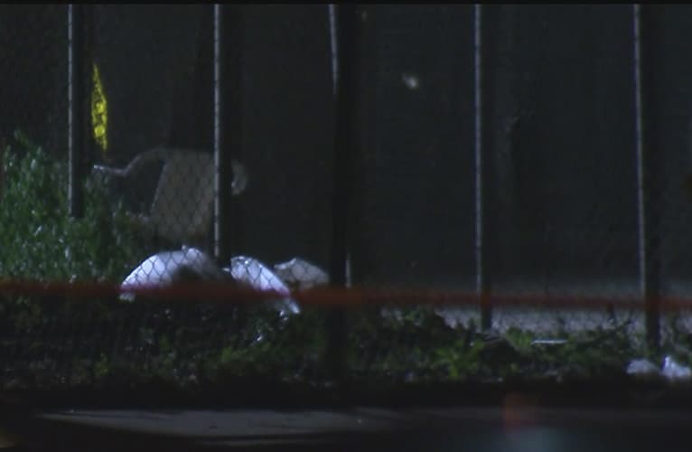 Callejón donde se encontraron los restos de un bebé en Long Beach.