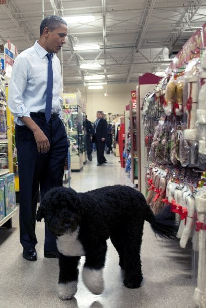 Su inseparable comitiva de seguridad no lo dejó ni a sol ni a sombra.