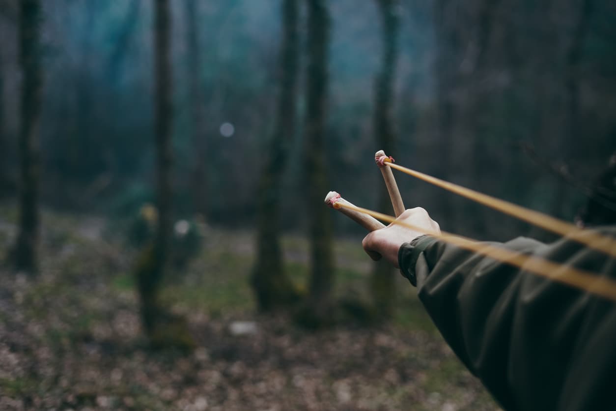 Una niña de 8 años consiguió escapar de su secuestrador gracias a que su hermano lo atacó con un tirachinas