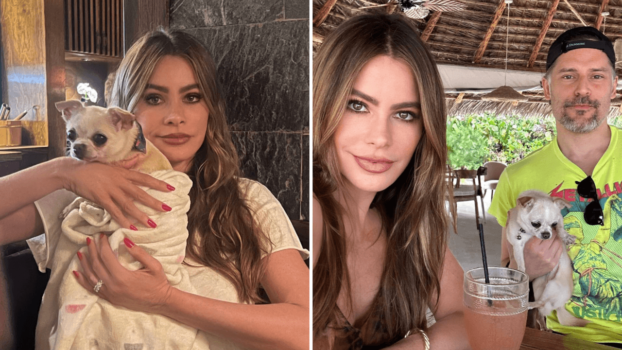 Sofía Vergara y Joe ya tendrían acuerdo por la custodia de Bubbles: ¿quién se queda con ella?