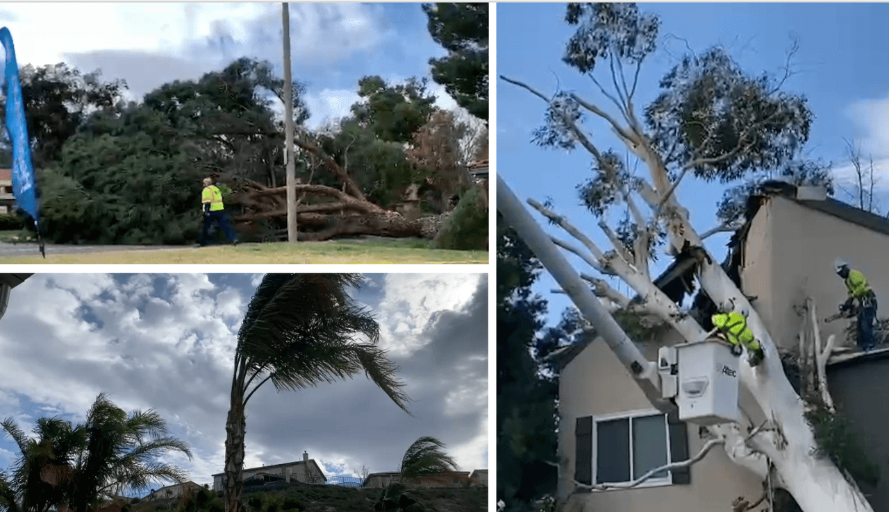 Vientos de hasta 90 millas por hora aumentan riesgos de incendios en el sur de California