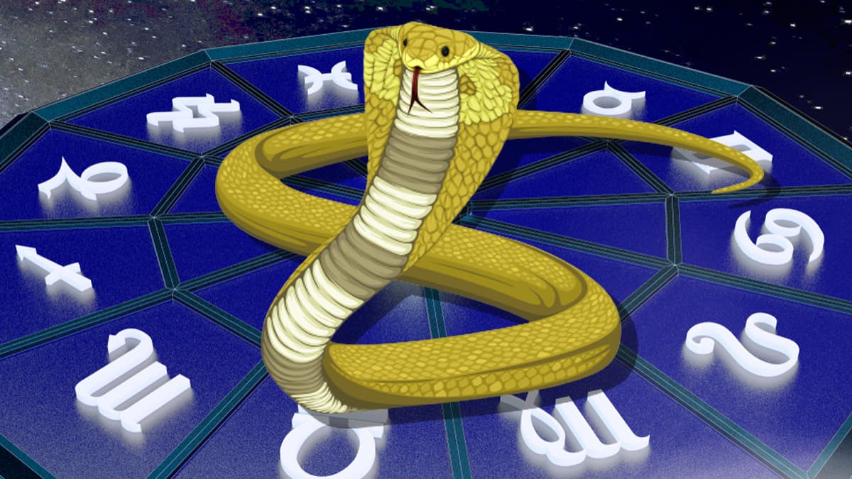 Antes de entrar en materia hay que comenzar explicando qué significa Kalasarpa Yoga, Kal significa 
<b><i>muerte</i></b>, Sarpa, 
<b><i>serpiente</i></b> y Yoga, 
<b><i>unión</i></b>, esto se traduce en la combinación planetaria que produce la muerte de la serpiente. 
<br>