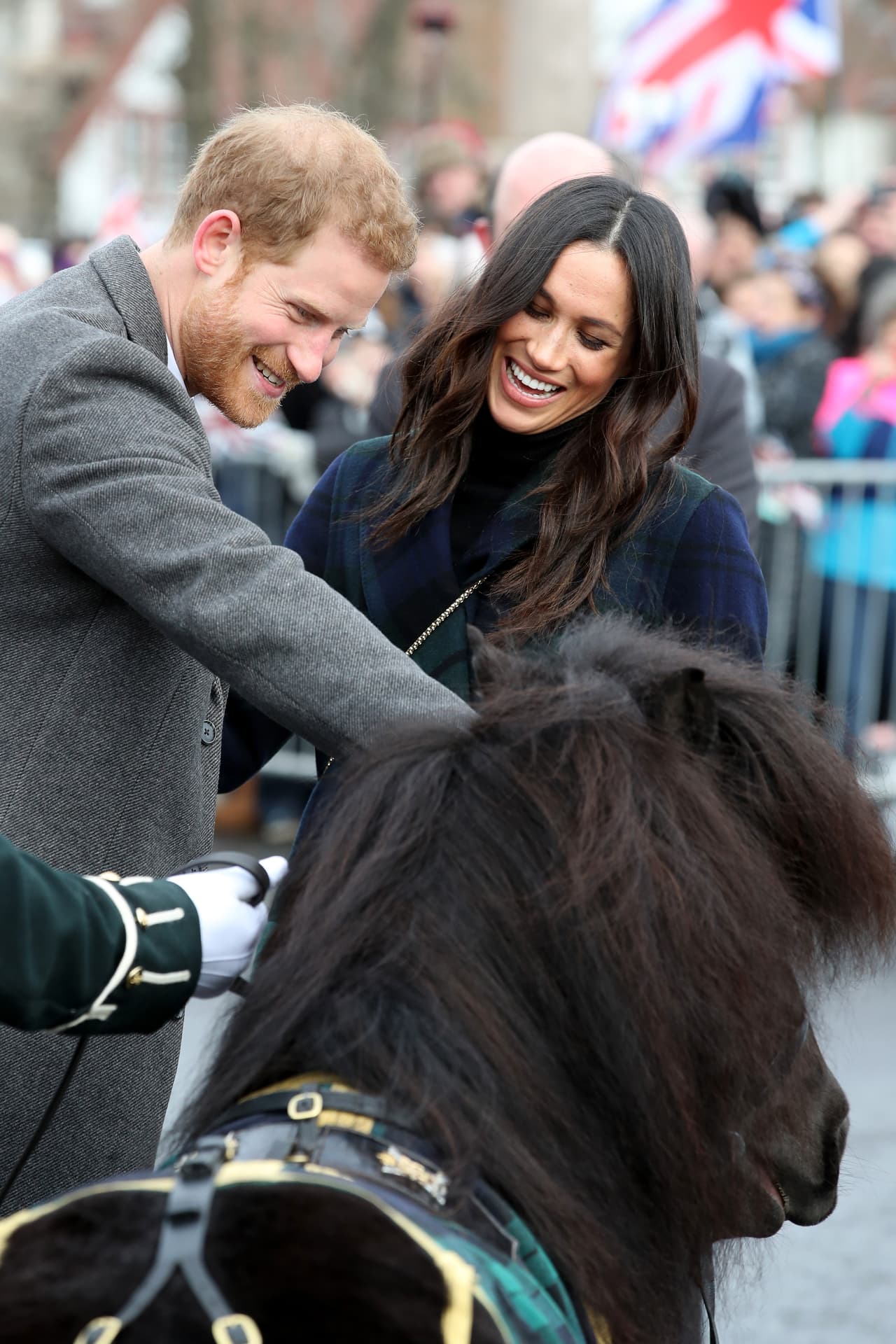 Cruachan IV, que tiene su propia cuenta de
<a href="https://twitter.com/CplCruachan_IV/media"><u> </u><b>Twitter</b></a>, tampoco se comportó como esperaban durante la visita de la reina Isabel II a Edimburgo el pasado julio. En esa ocasión le dio un mordisco al ramillete de flores que sujetaba la monarca.