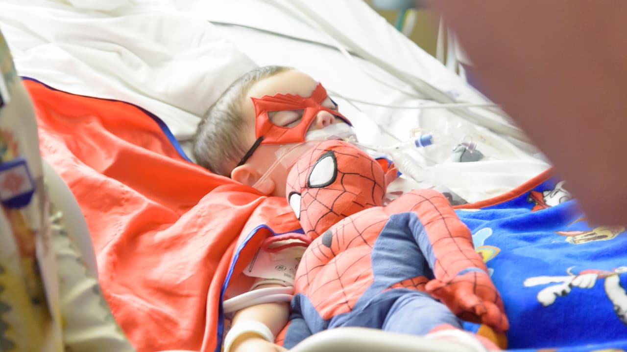 El pequeño era fanático de 
<b>Spiderman, Batman</b> y de todos los superhéroes. "Amaba los deportes, Batman, Spiderman y lo más importante. Que el impacto que Mars deje atrás sea un recordatorio constante de amor y esperanza".