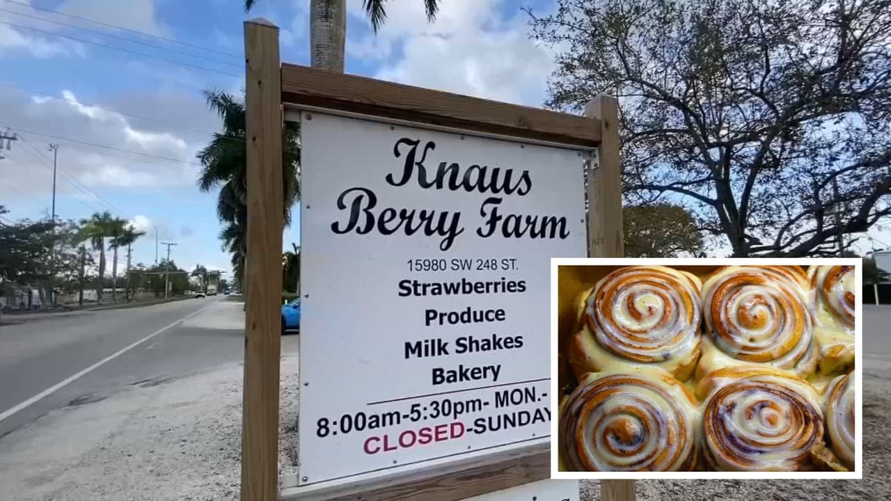 Knaus Berry Farm reabre sus puertas al público este Halloween: venderán sus famosos rollos de canela