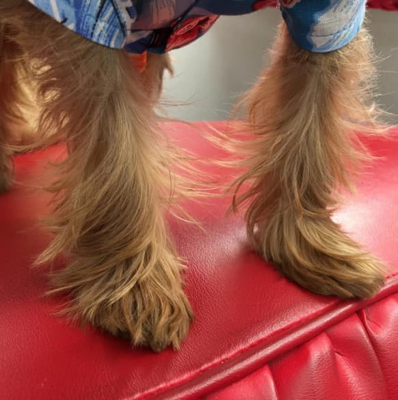 Comenzamos la semana con un nuevo integrante en la casa. ¿Quién será?