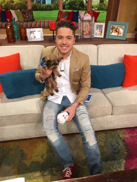 Ahora Tobi tendrá que madrugar con su papi William, para hacer travesuras en su nueva casa.