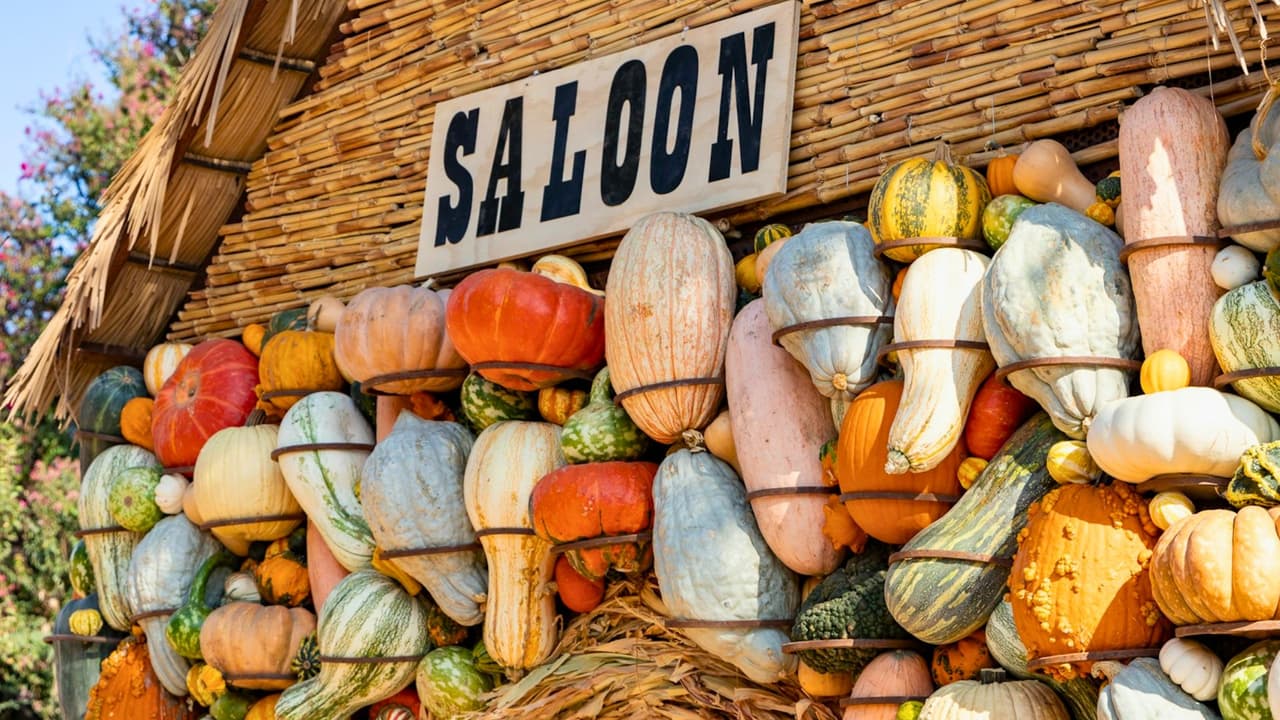 Bajo el tema “Town Texas”,
<b>los visitantes se embarcarán en un viaje a través de la historia de los primeros colonos del estado</b>. El área de exhibición a la orilla del lago se transforma en un homenaje a la vida de los pioneros, invitando a los asistentes a
<b>explorar la rica herencia cultural de Texas.</b>