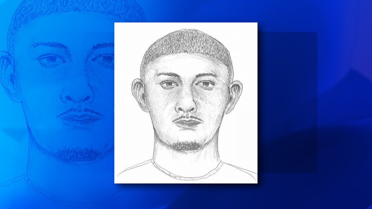 Dan a conocer retrato hablado de sospechoso de intento de ataque sexual en parque de Evanston