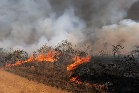 El incendio que arrasó un 25 por ciento del Parque Nacional de Brasilia empezó el domingo pasado y se extinguió la madrugada siguiente, fue considerado como el mayor que se ha registrado en los últimos tres años en la capital brasileña.
