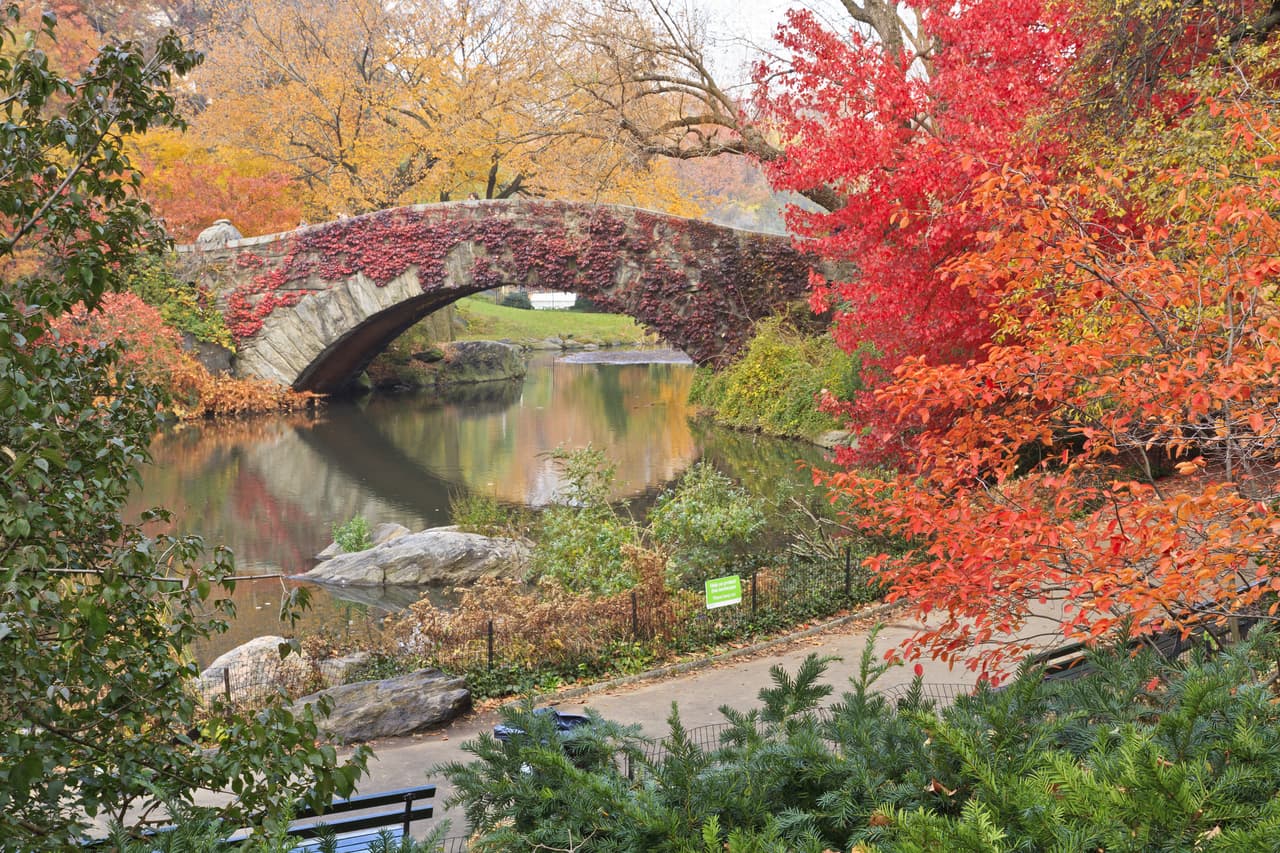 Central Park (NYC): si quieres ver los colores dentro del paisaje urbano, Central Park es el destino perfecto. Este 'pulmón' de New York es hermoso durante todas las estaciones, pero en otoño es mágico.
