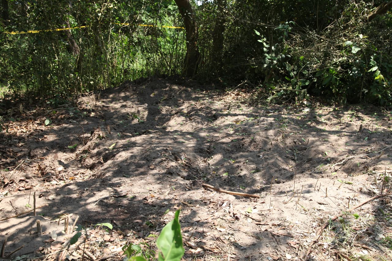 La identificación de cuerpos humanos en el estado esta comprometida porque 
<b><a href="http://www.univision.com/noticias/america-latina/desaparecidos-en-vida-y-en-muerte-el-caos-de-la-identificacion-de-cadaveres-en-el-estado-mexicano-de-veracruz">miles de pruebas de ADN tomadas a familiares de desaparecidos en Veracruz para compararlas con cadáveres sin identificar resultan inservibles. </a></b>