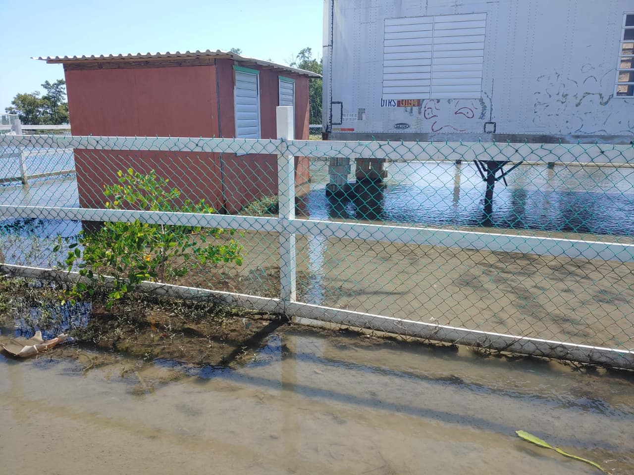 "
<a href="https://www.univision.com/local/puerto-rico-wlii/ya-no-se-puede-vivir-aqui-familias-desalojan-sus-viviendas-en-guayanilla-video">Ya no se puede vivir aquí</a>. En una va a venir un aparato de esos y nos va a llevar a todos", añadió Rodríguez.