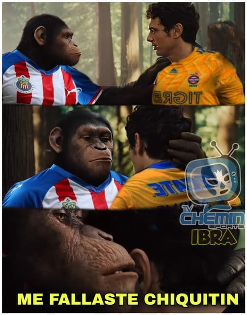 Tigres sale dañado en su pelea con los memes y las redes sociales se burlan de los regios.