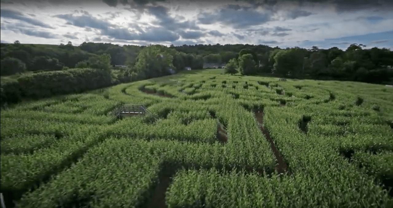 3-year-old Utah boy left overnight in corn maze after parents forgot him