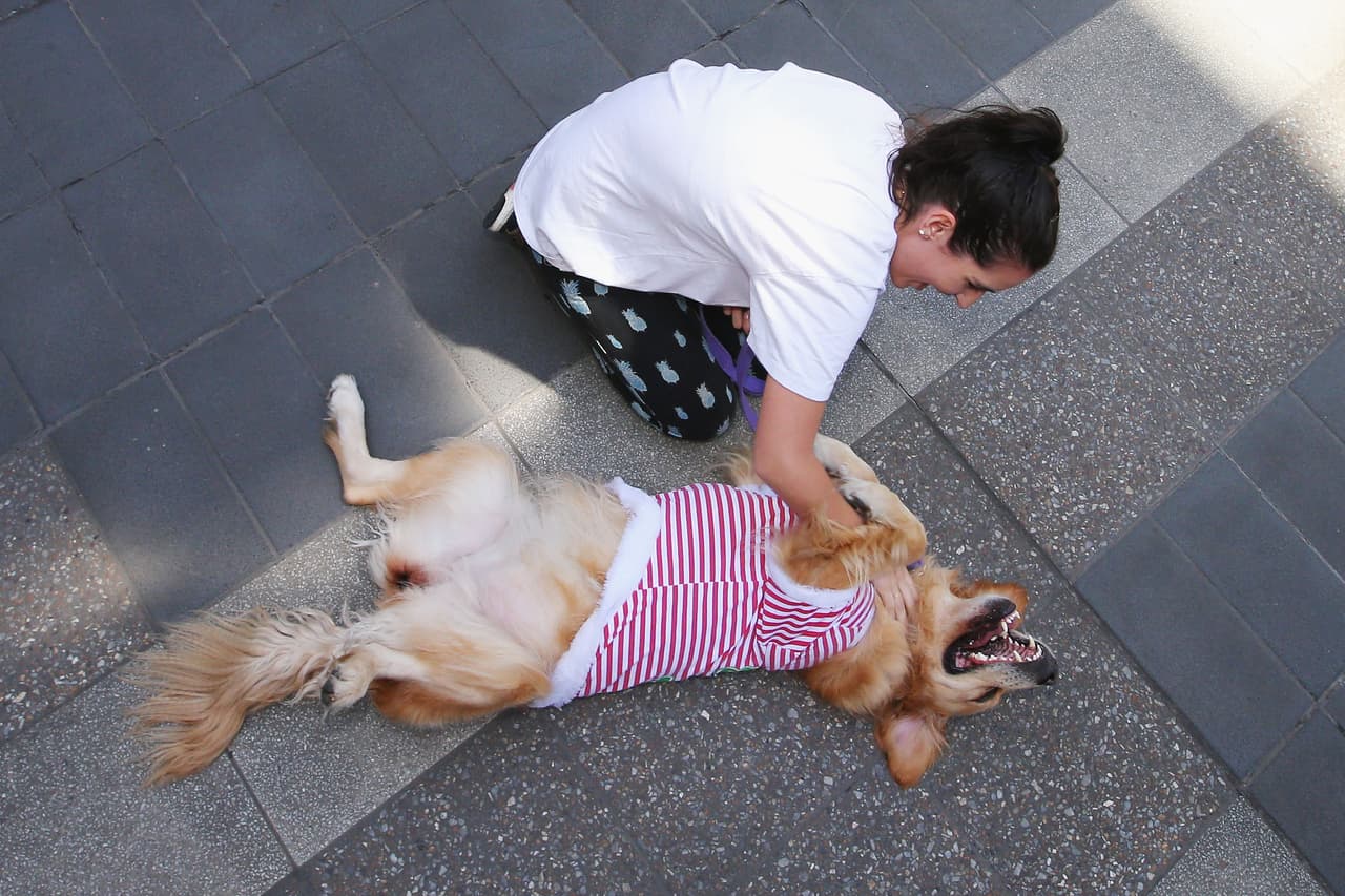 Una tarde con 'Puchi' más que cualquier otra compañía.