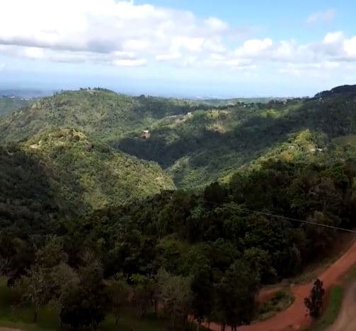Esperan que la llegada de El Monstruo “le brinda a Puerto Rico como destino, una nueva e impactante oferta para atraer al nicho de Turismo de Naturaleza y Aventura”.