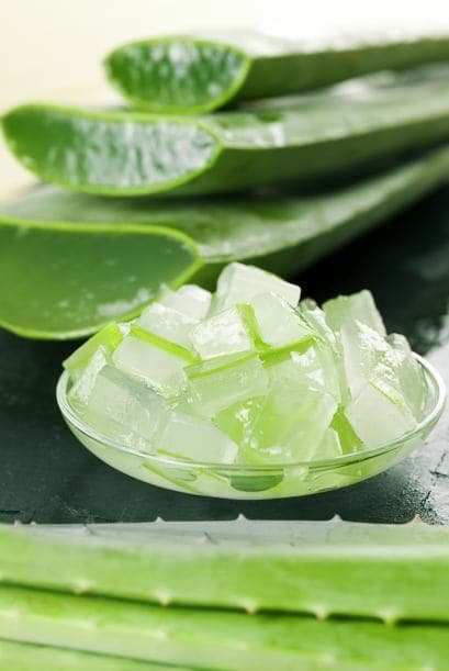 Puedes sacarle mucho provecho al aloe vera haciendo cubitos de hielo, los cuales puedes utilizar para muchísimas cosas como las que te diremos a continuación.