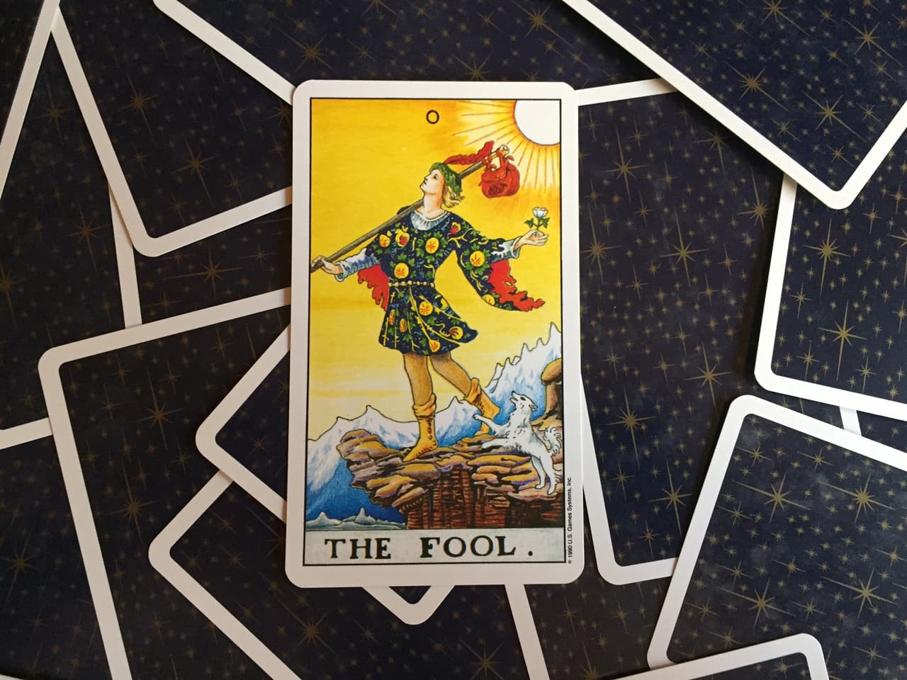 A primera vista bien podría decirse que sí es un tonto, ya que anda vestido de bufón y parece que ha huído de casa, cargando un saco por el hombro cual vagabundo y notándose sin preocupaciones, caminando con la vista al cielo pero sin fijarse que va hacia un precipicio. ¿A una muerte inminente?