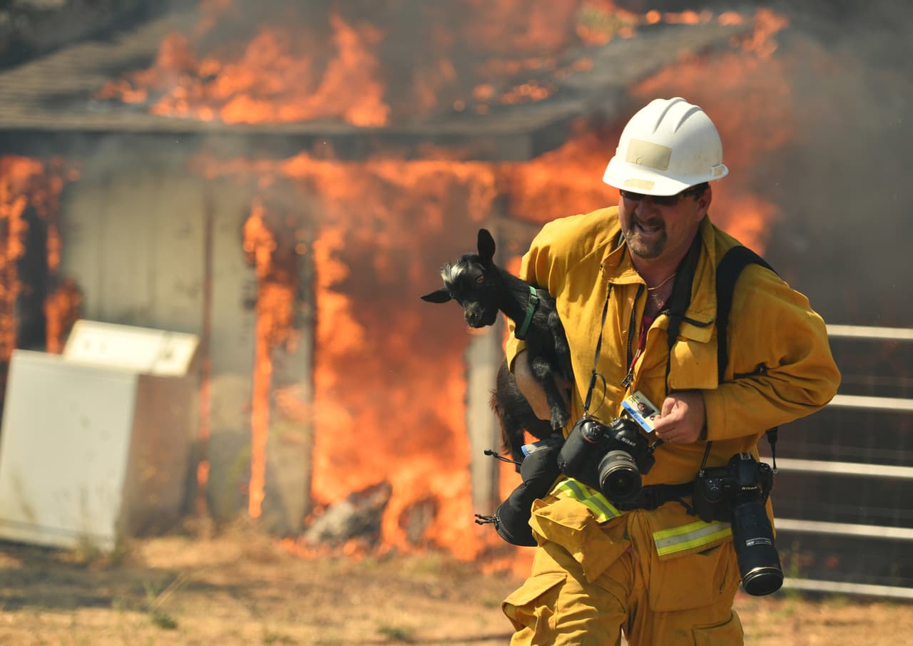 Además, " 
<b>6 de los 20 incendios forestales más grandes en la historia de California han ocurrido este año</b>", según datos de CalFire.