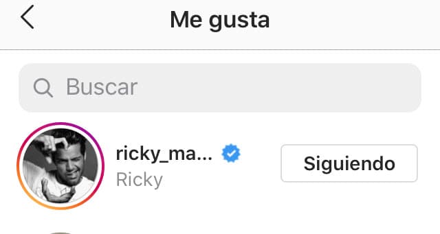 Su compatriota,
<b><a href="https://www.univision.com/famosos/con-fotos-el-esposo-de-ricky-martin-lo-hizo-comprender-el-plan-divino-detras-de-la-pandemia-del-covid-19-video" target="_blank">Ricky Martin</a></b>, le dio un 'me gusta' a la publicación.
<br>