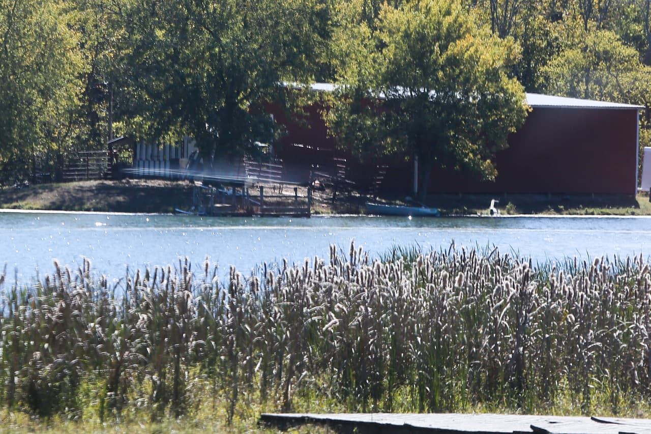 Tienen un laguito para remar y nadar.