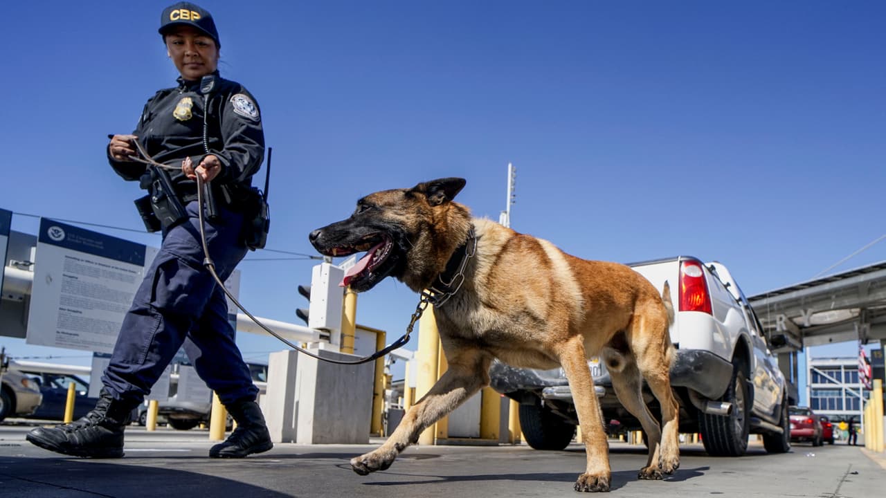 Legislador de Utah dice “quédese en casa" a quien no quiera que lo muerda un perro policía 