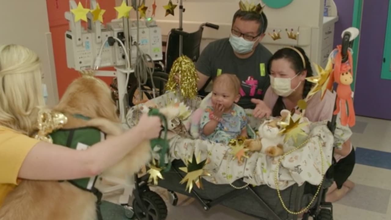 Este programa está diseñado para motivar a los pacientes y a sus familias en el hospital.