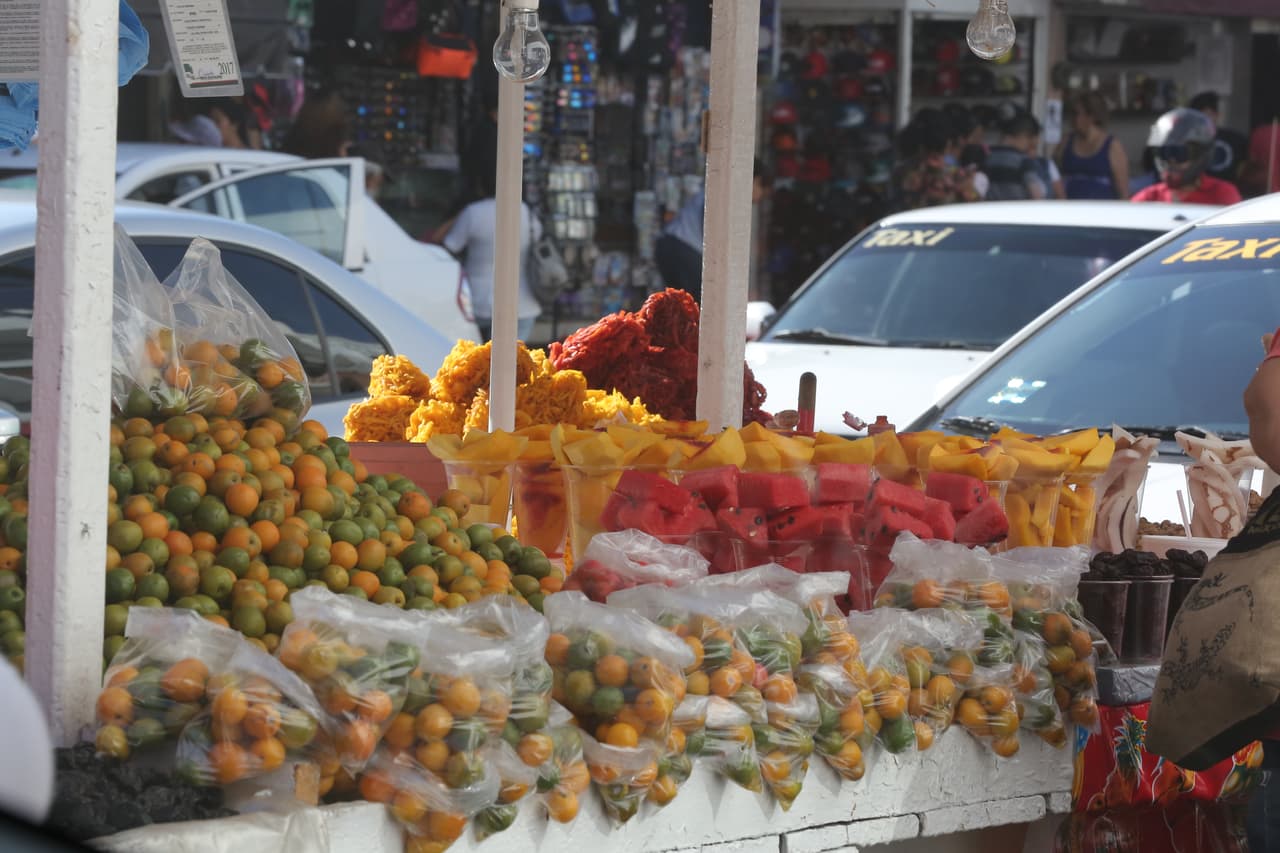 El clima cálido del lugar es ideal para el cultivo de frutas.