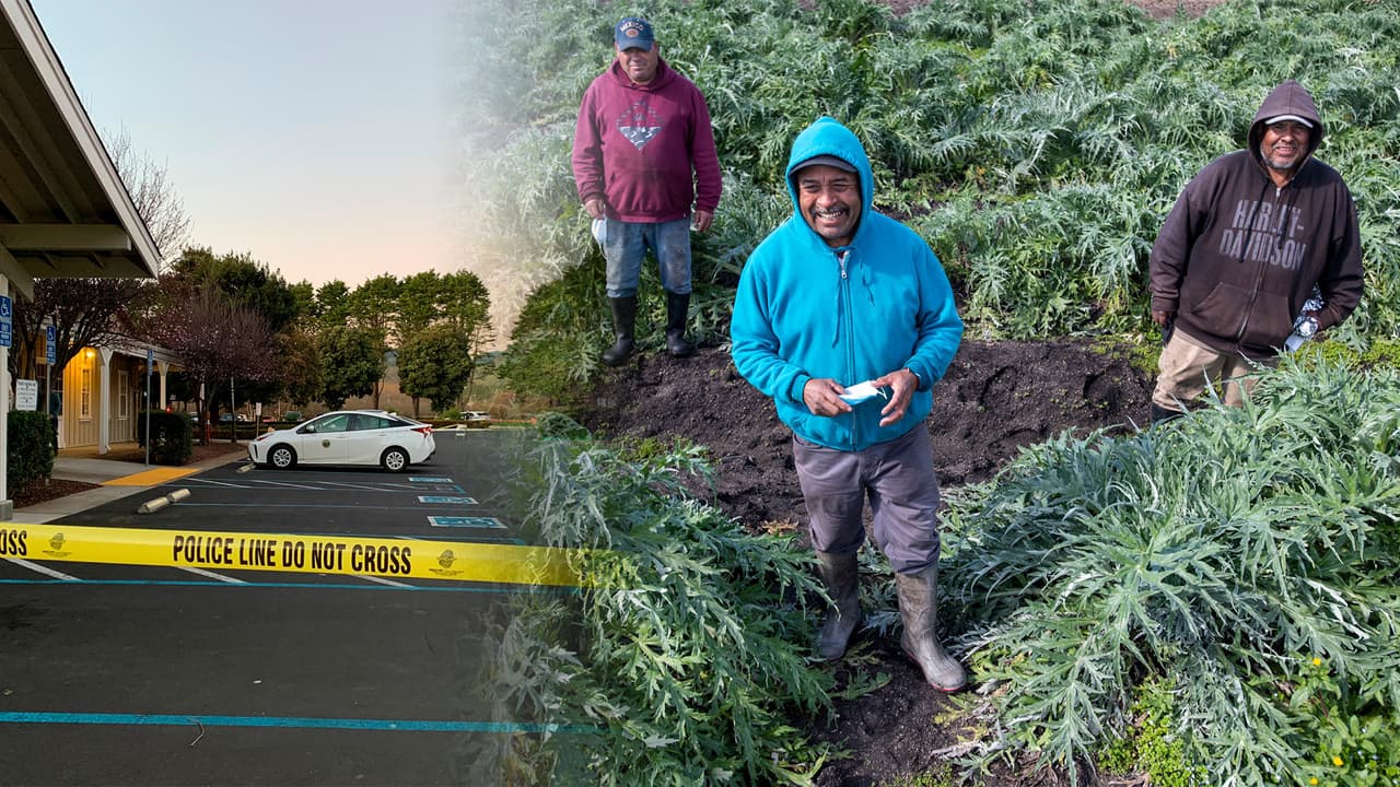 Organizan colecta para trabajadores agrícolas por tiroteo mortal en Half Moon Bay