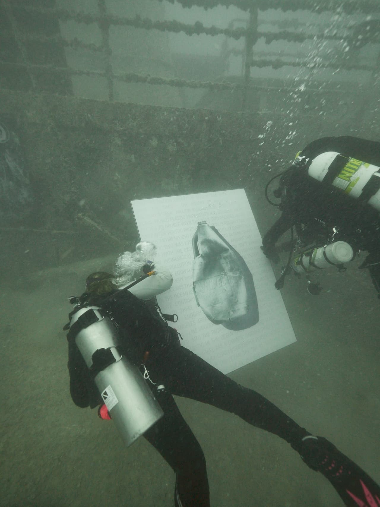 Algunos cuadros necesitaron de una pareja de buzos para llevarlos de la tierra al mar
<br>