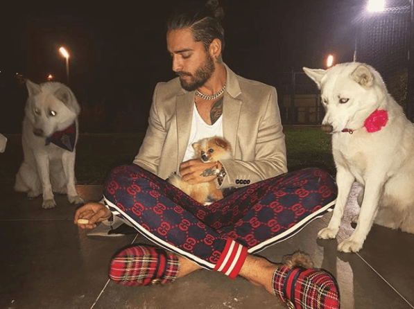 Maluma ha conseguido rápidamente fama, dinero y reconocimiento. Sin embargo, los perros son sus fieles acompañantes en los pasajes más solitarios de la vida.