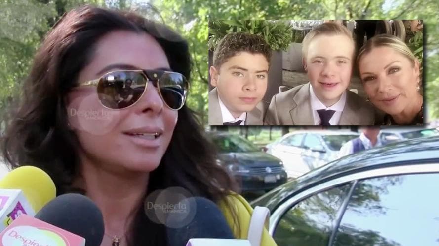 La actriz también habló con la prensa, a finales de agosto, del mal estado de ánimo en el que se encuentra Collado porque 
<a href="https://www.univision.com/famosos/yadhira-carrillo-asegura-que-su-esposo-extrana-a-sus-hijos-pero-lety-calderon-ha-dicho-que-es-un-papa-ausente-fotos" target="_blank">no puede ver a sus hijos</a>, Luciano y Carlo, frutos de su relación con Leticia Calderón.