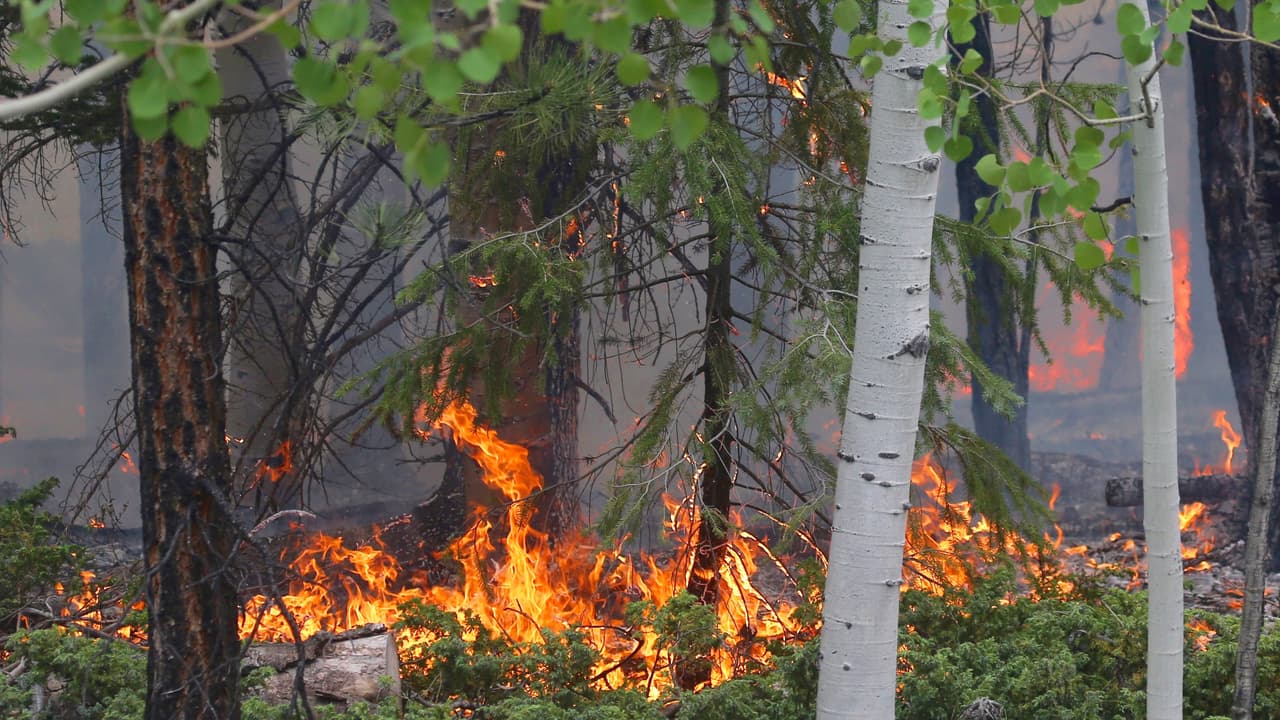 Autoridades del estado de Utah establecen prohibiciones a fin de evitar más incendios