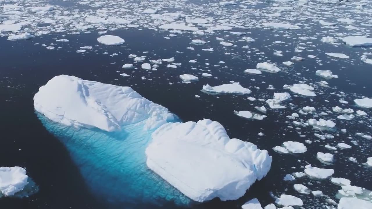 ¿Qué les preocupa a los latinos sobre el cambio climático? Aquí te lo decimos