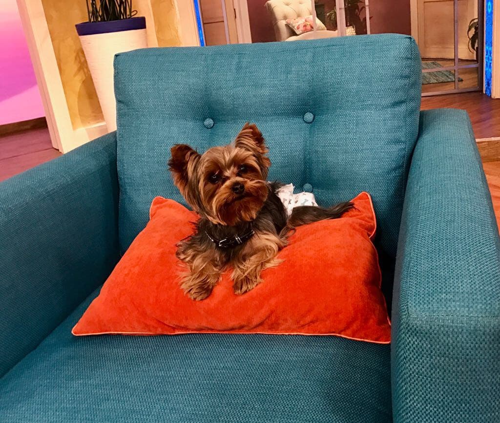 Tobi se puso cómodo para dar la bienvenida a grandes invitados.