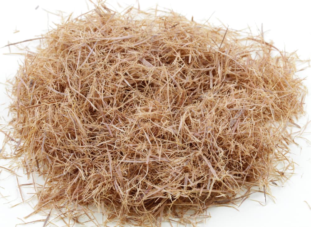 Las flores realmente solo son de "adorno", pues para la uña de gato principalmente se utilizan las raíces y cortezas, aunque también se pueden usar las hojas y ramas jóvenes.